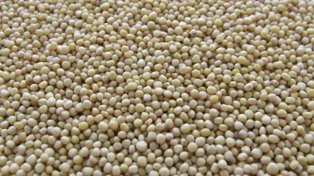 China's Soy Crisis Hits U.S. Farmers and Global Markets