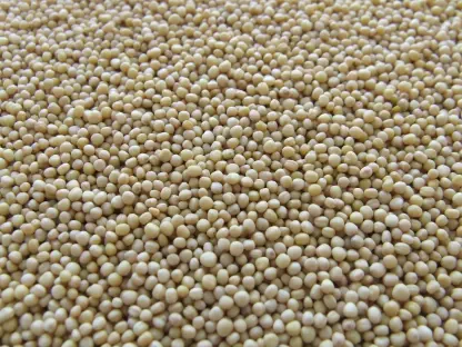 China's Soy Crisis Hits U.S. Farmers and Global Markets
