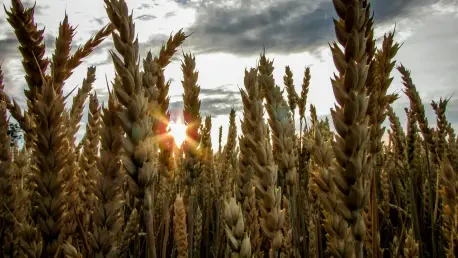 Grains Fall to Lows as Livestock Futures Surge on August 5