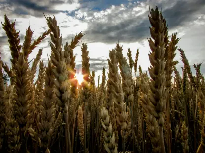 Grains Fall to Lows as Livestock Futures Surge on August 5