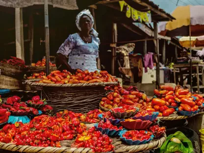 Is Nigeria's Market Inflow a Fragile Recovery?