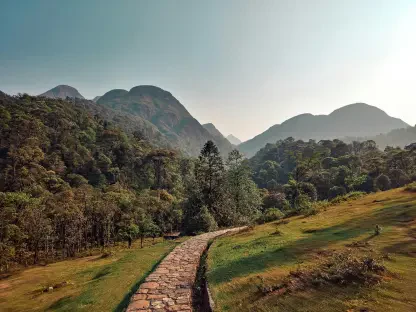 How Is Currency Volatility Shaping Vietnam’s Tourism?